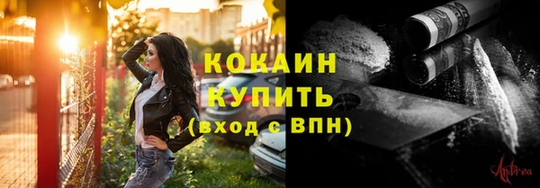 прущая мука Бородино