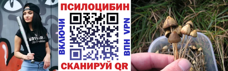 ссылка на мегу онион  Любань  Галлюциногенные грибы прущие грибы 